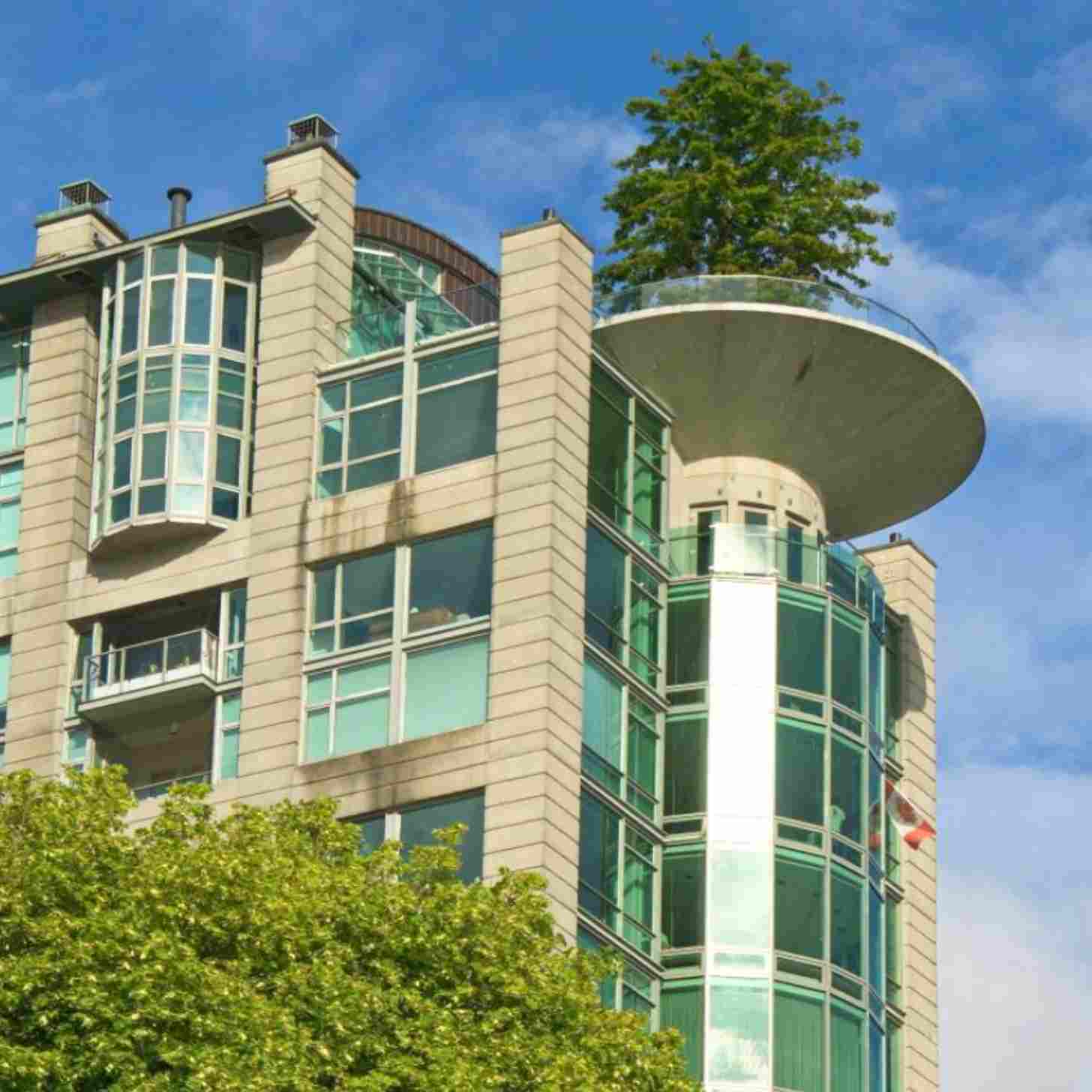 A city building with a tree on the roof