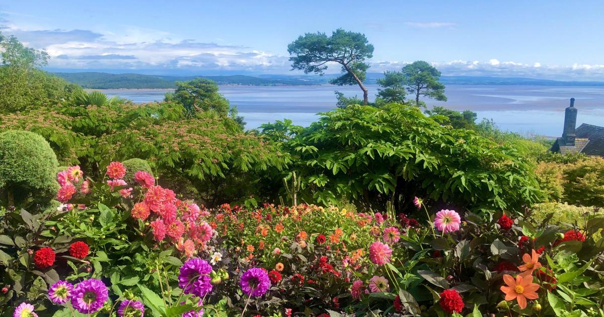 See the NGS Gardens opening in Cumbria for July 2025