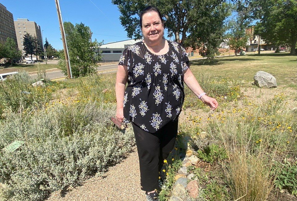 The healing garden aims to promote medicinal plants