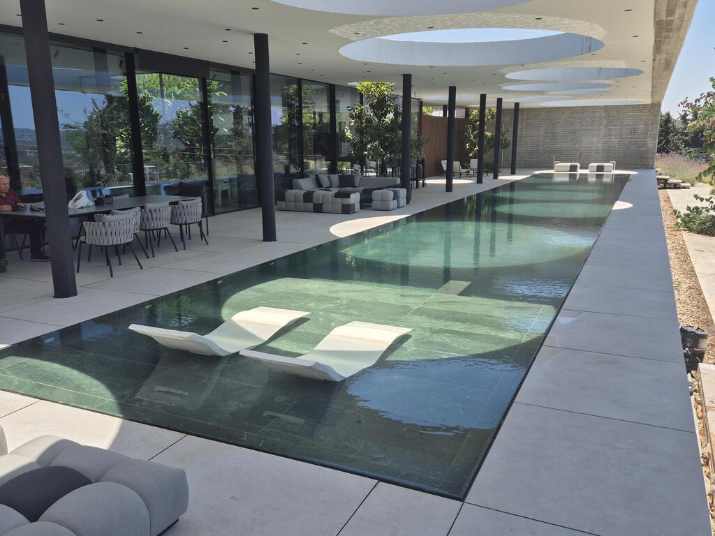 A pool designed by Danny Israelowitz