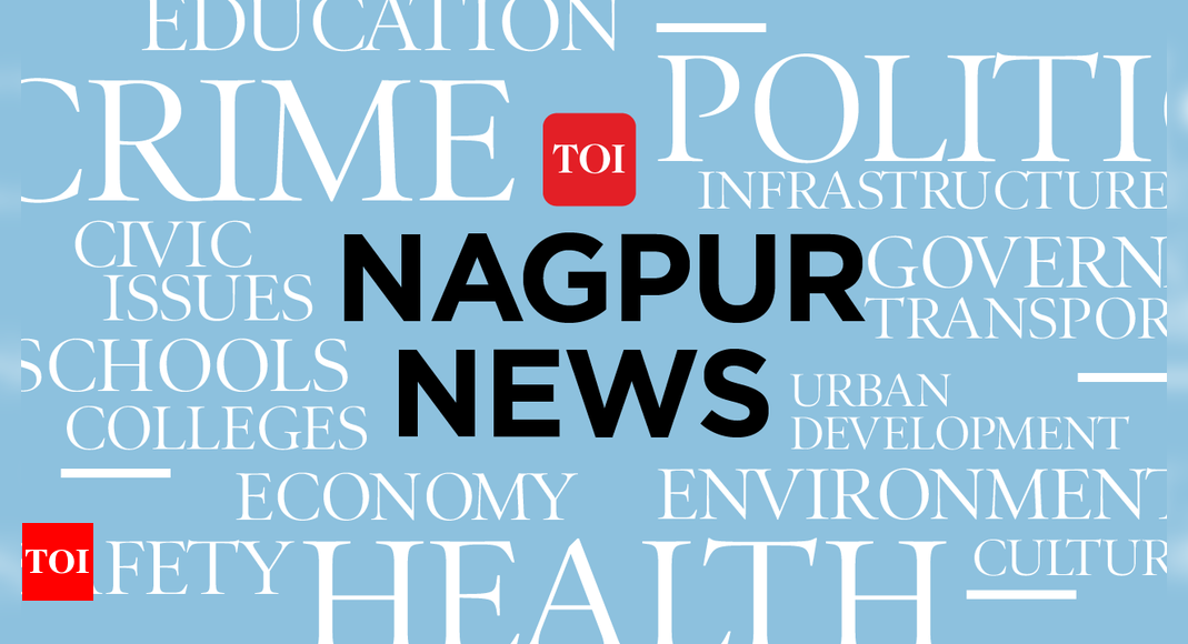 State intensifies the rules for pop ganpati -idols and form experts for environmentally friendly disposal | Nagpur News
