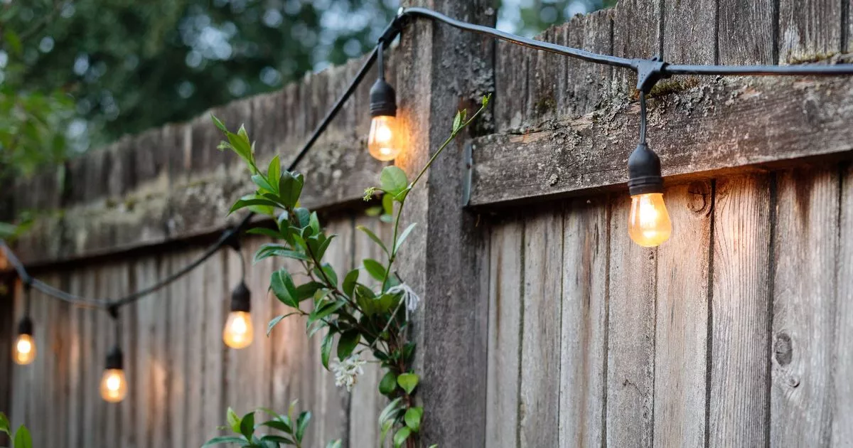Warning to everyone who hangs out on their fence outdoors outdoors