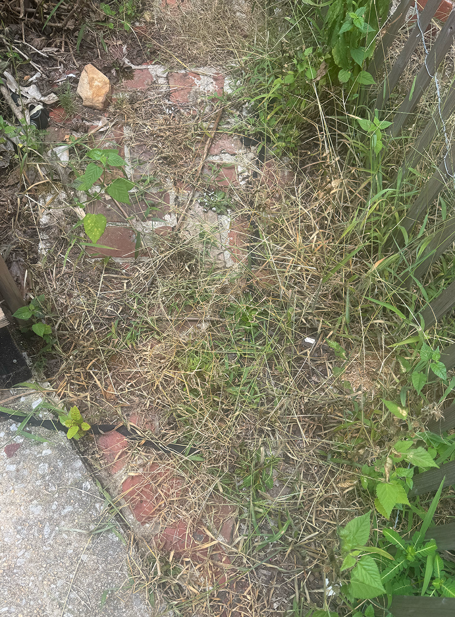 Dead weed