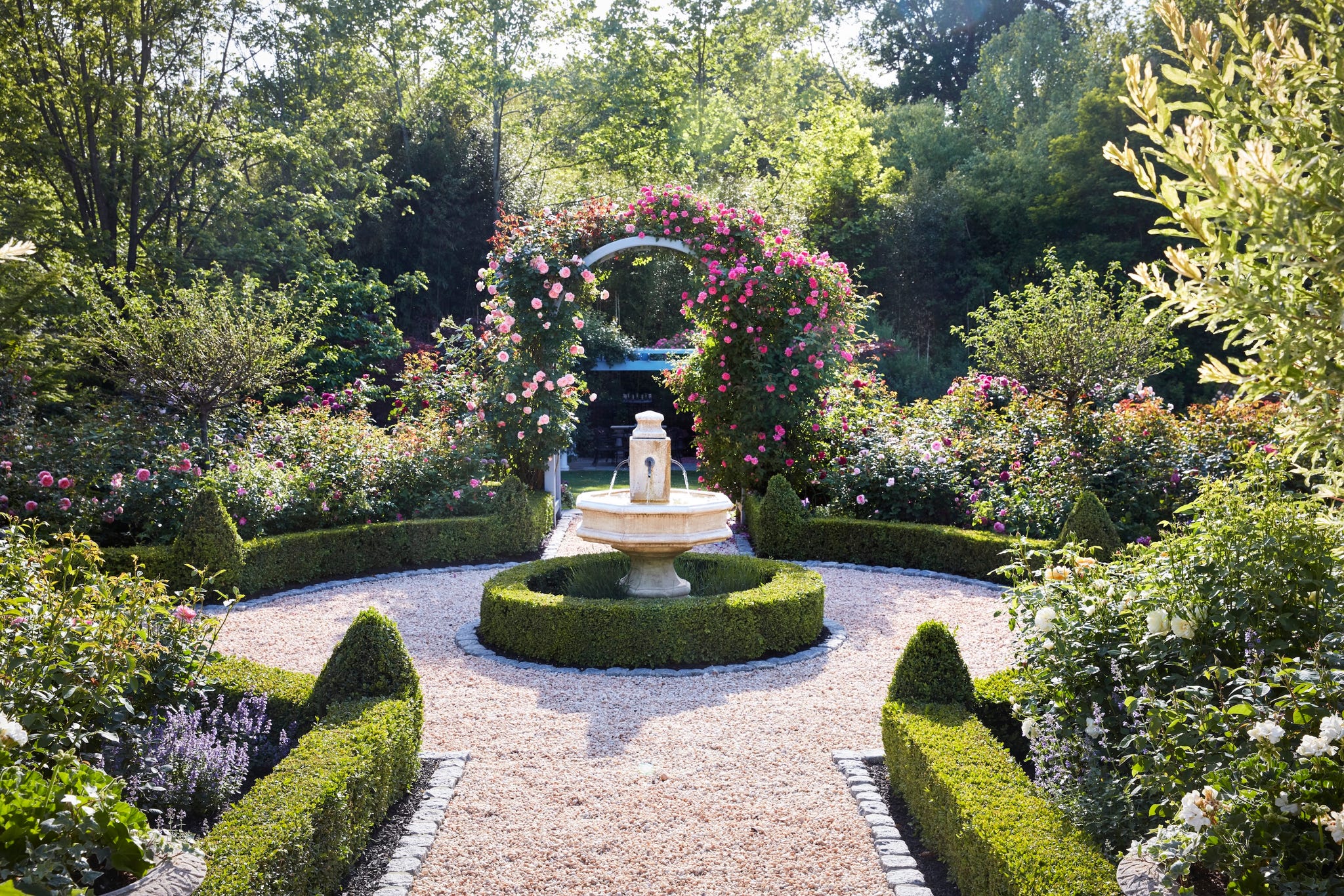 Garden in the north virginia home of the gardener Yvonne Tsikata. A limestone fountain circle on the ground floor Garden \ varieties such as Boscobel \, Geoff Hamilton \ and Darcey Bussell.