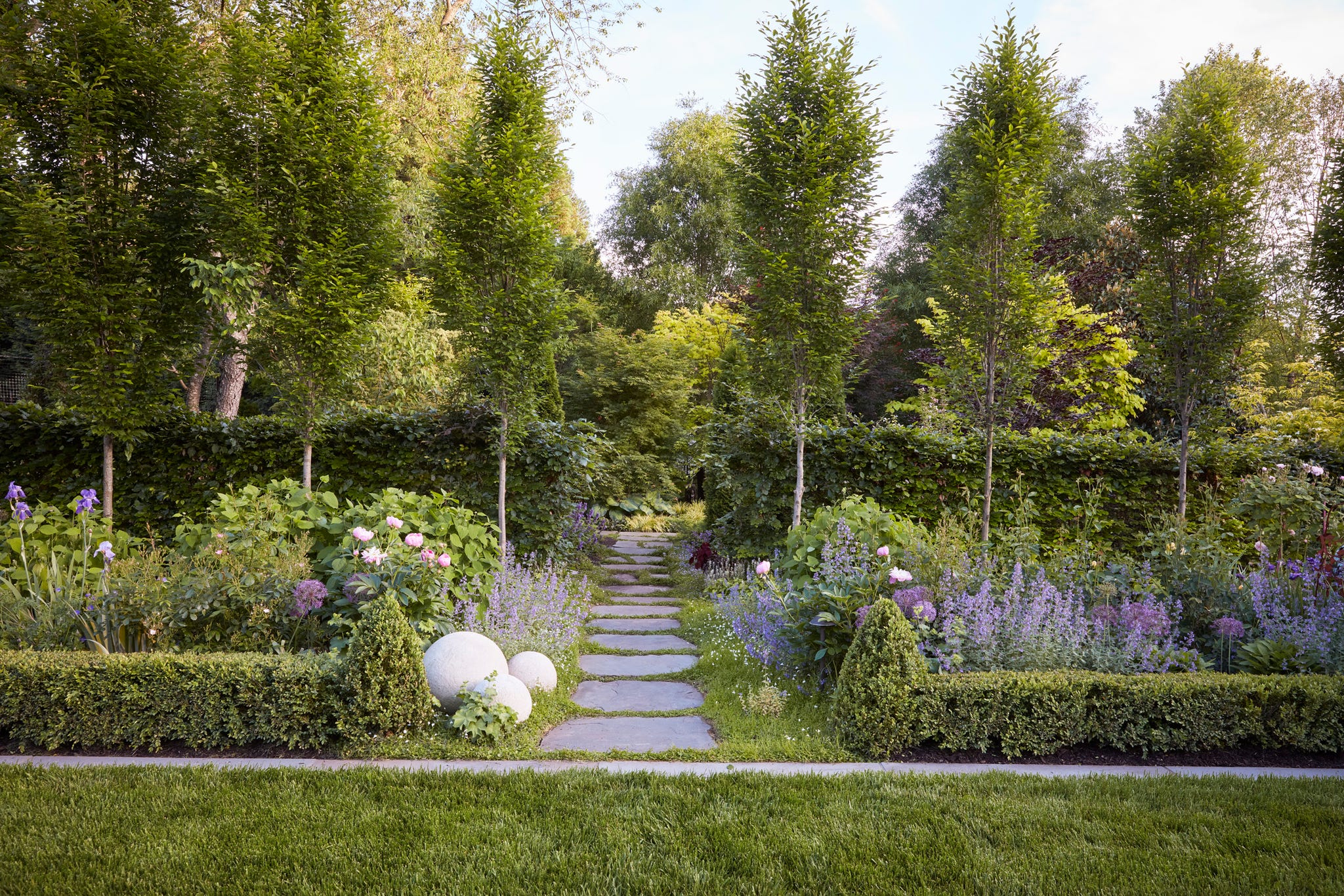 Garden path lined with hedges