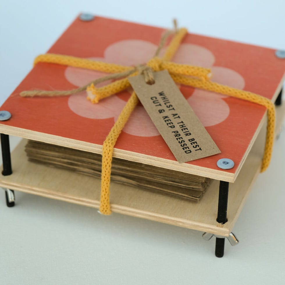 Flower and botanical press Flower and botanical press