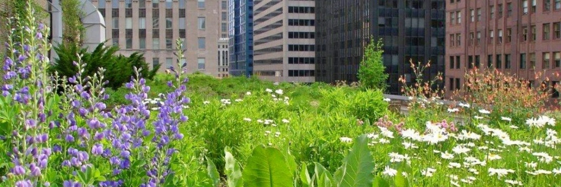 Our newsletter in August 2025 is out! Sustainable urban cooling solutions + more ...