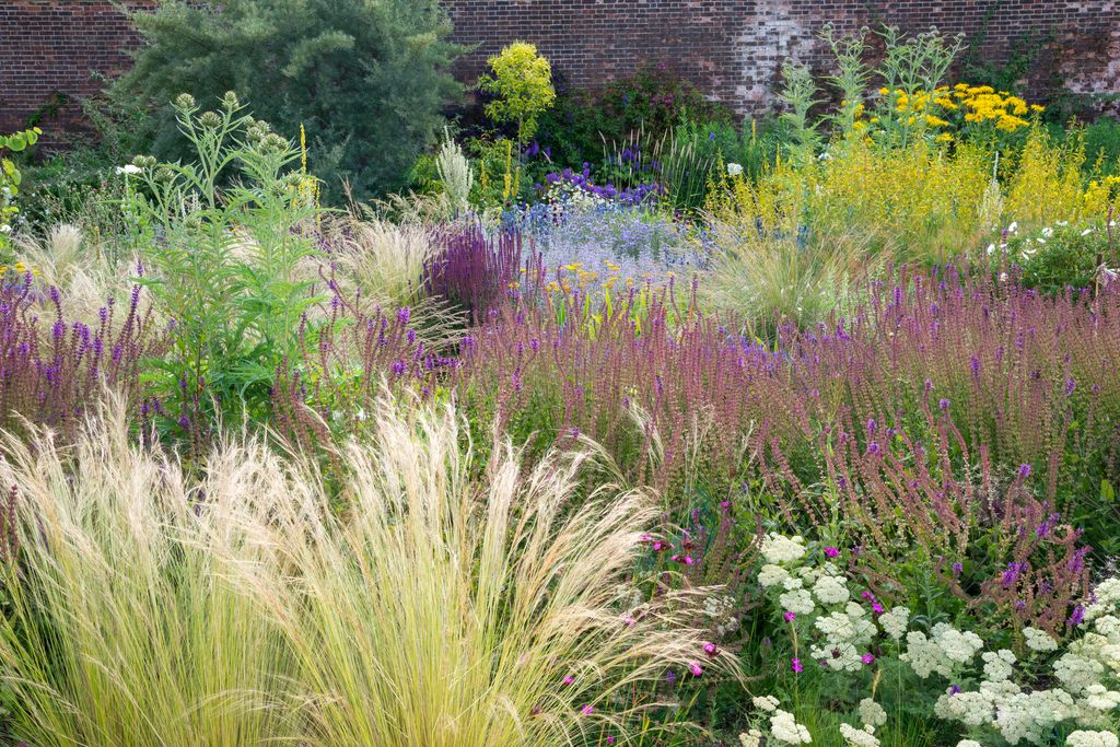 Beautiful mixture of perennials, ornamental grasses and shrubs in a sunny garden in July.