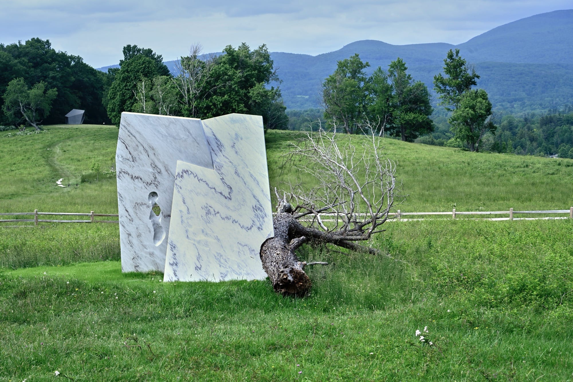An abstract sculpture by Milena Naef with a found tree spirit and a white marble -like shape in a meadow
