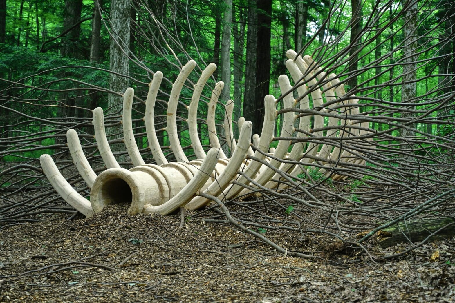 Six celebrated artists interpret ecology and the landscape for 'Ground/Work 2025' - Colossals