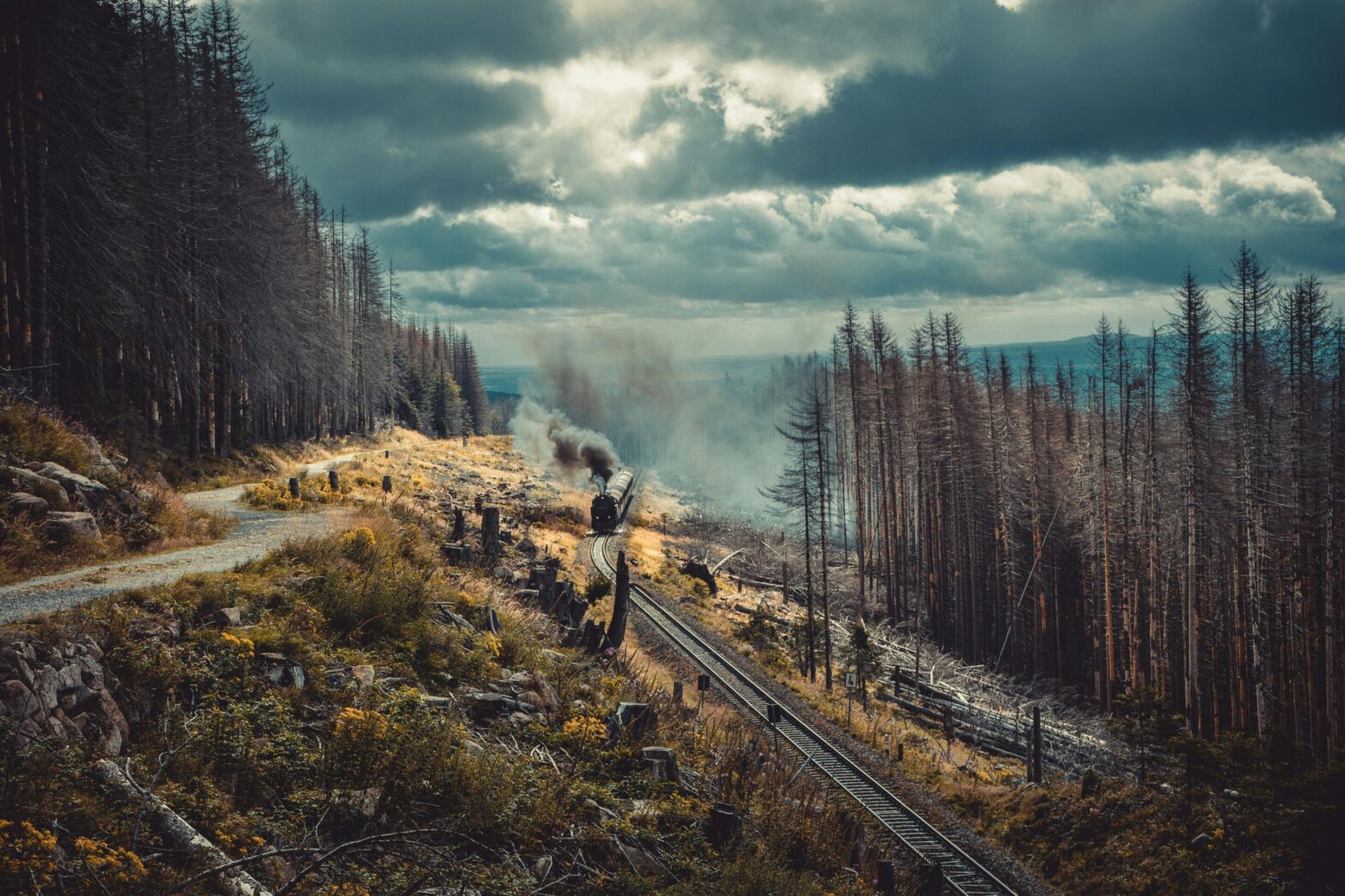 For the first time, geoscientists prove that the microplastics are stored in forests