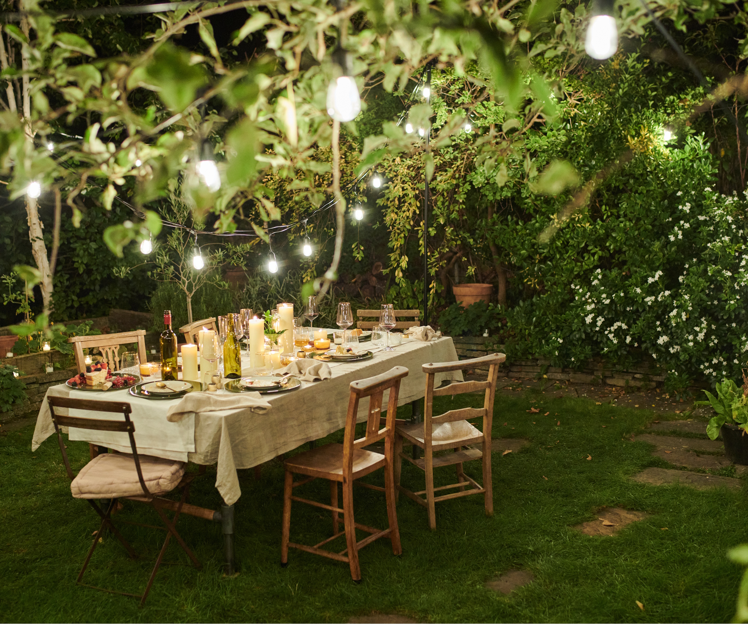 Moonlight in the garden