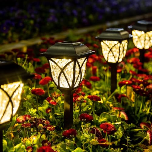 Gigalumi Solar Lights Outdoor waterproof, 6 Pack -LED -Solar garden lights, external decorations, garden decor for garden, terrace, landscape, planter, whale kWay (warm white)