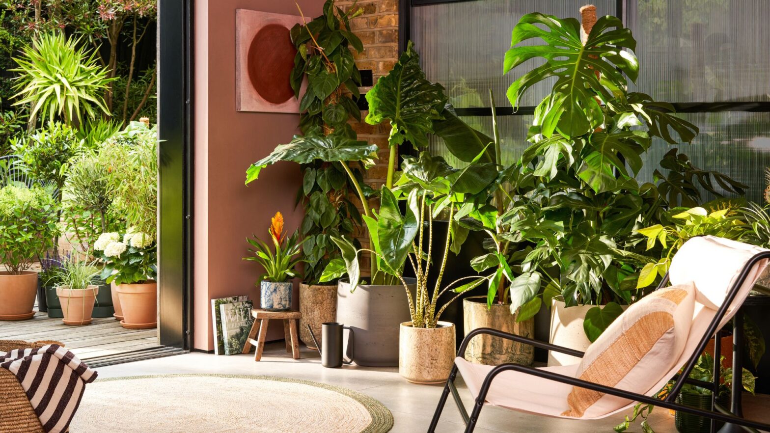 5 types of tropical houseplants for your inner garden