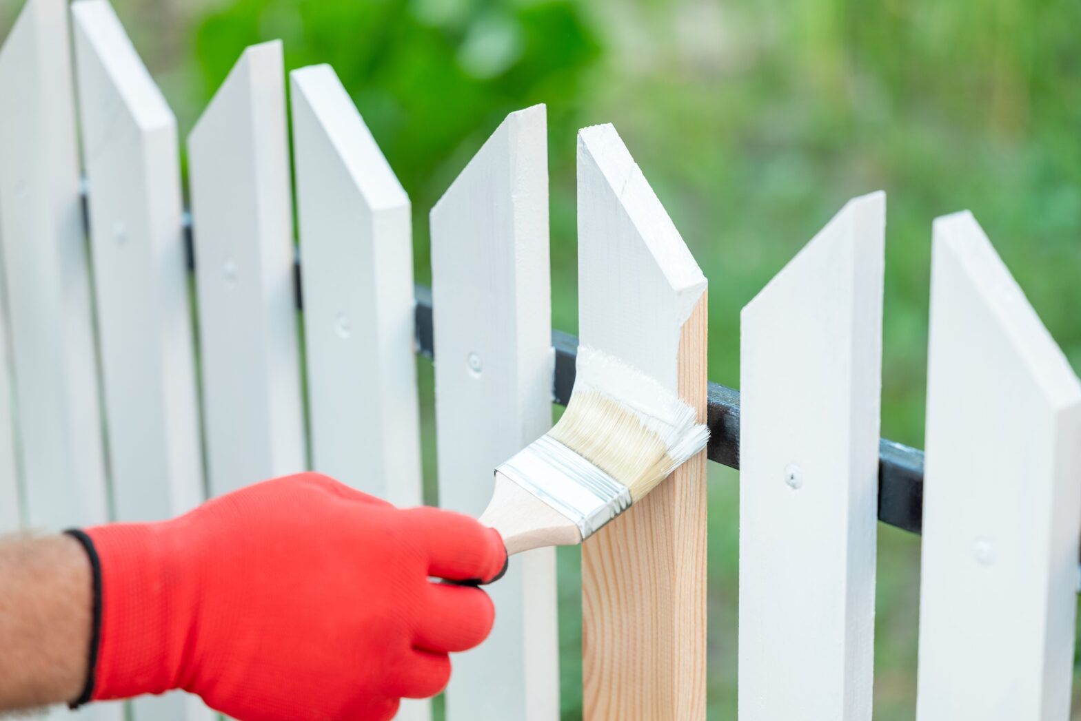 Can you paint the side of the fence of a neighbor who is facing your garden?
