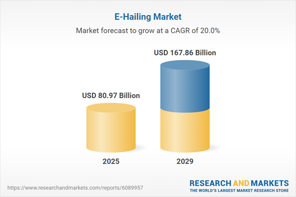 E-haailing market competition landscape and company profiles
