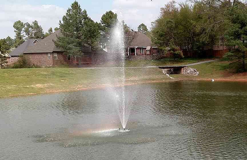 Expert: Previous ponds good for fish in summer