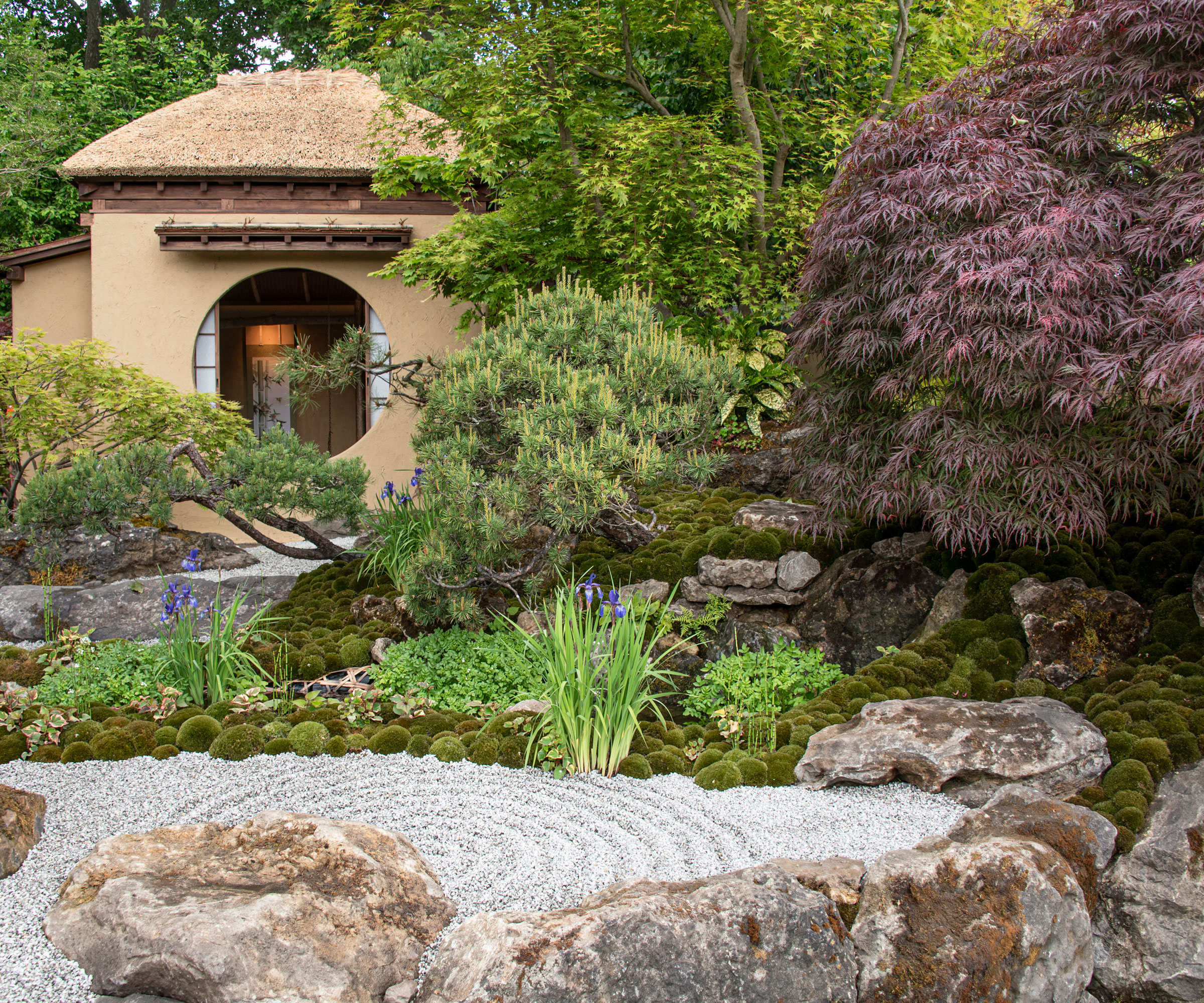 Japanese garden with temples, acer trees, gravel and boulders