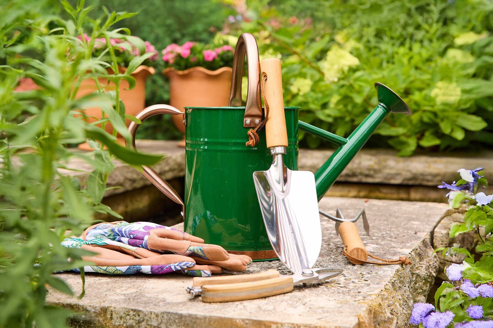 How to keep your vegetable garden thrive in autumn