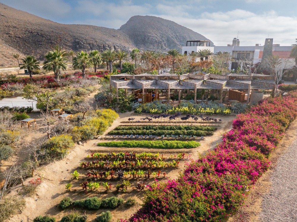 Los Cabos Tourism works for long -term sustainability