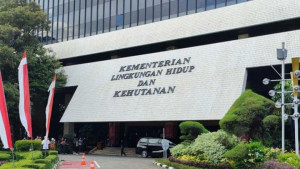 Ministry of Forest: Pt Sumber Permata Sipora still has no permission on Sipora Island