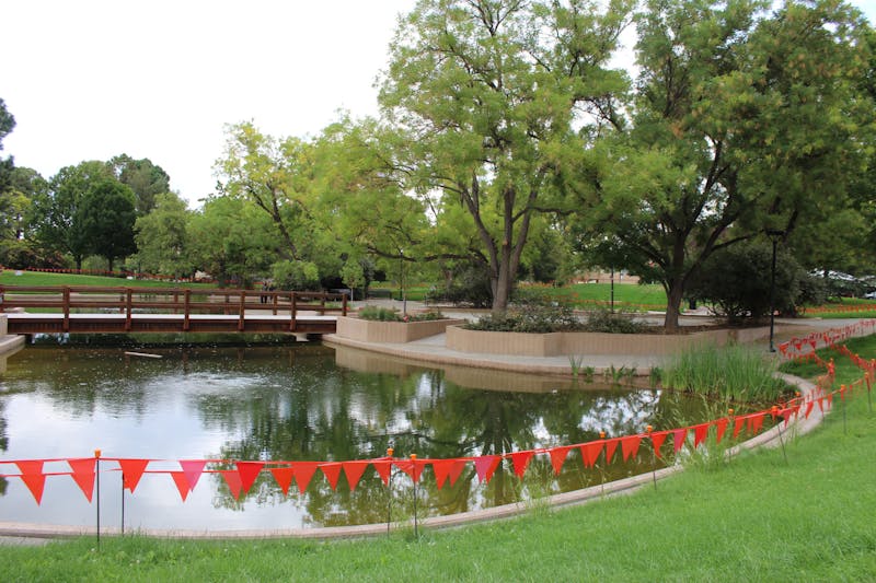 Opinion: #notmyduckpond - The Daily Lobo