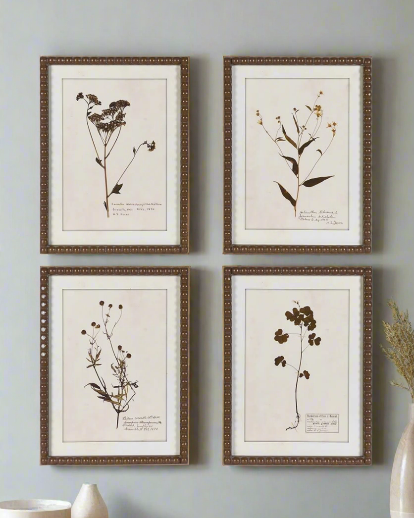 Framed delicate flower pictures | 4