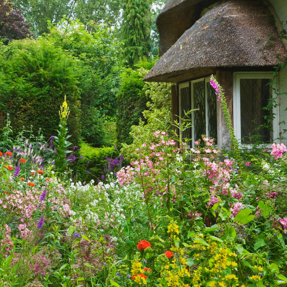 Thatch Cottage Garden in Great Britain