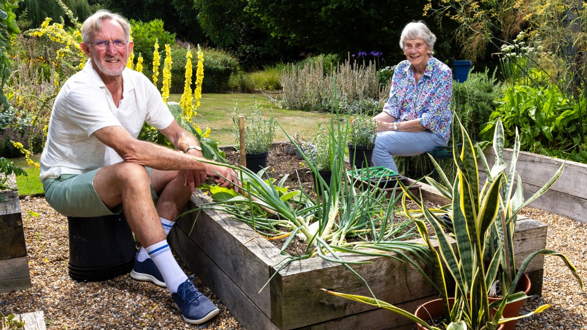 How we have created a low -maintenance garden after 40 years of hard pruning