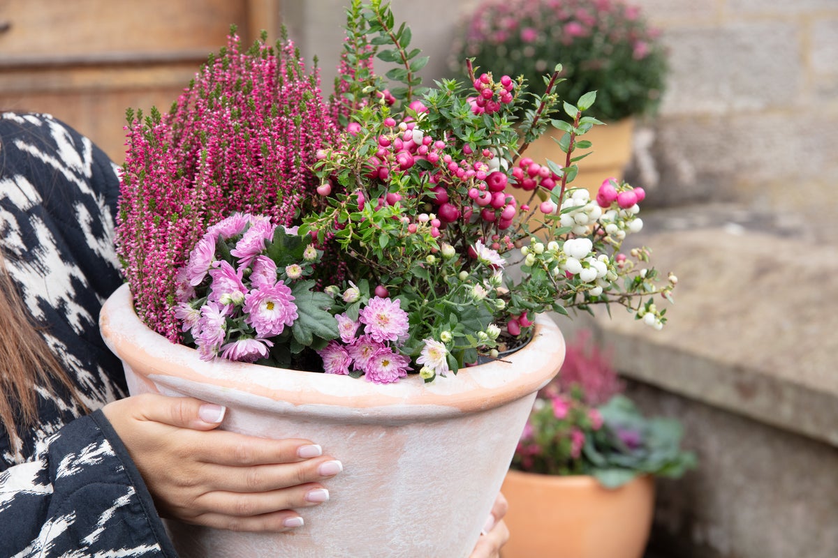 Rent a property? Garden expert reveals how you can optimally use your outdoor area