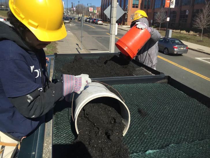 Workers empty earth on a green roof on a bus undercard