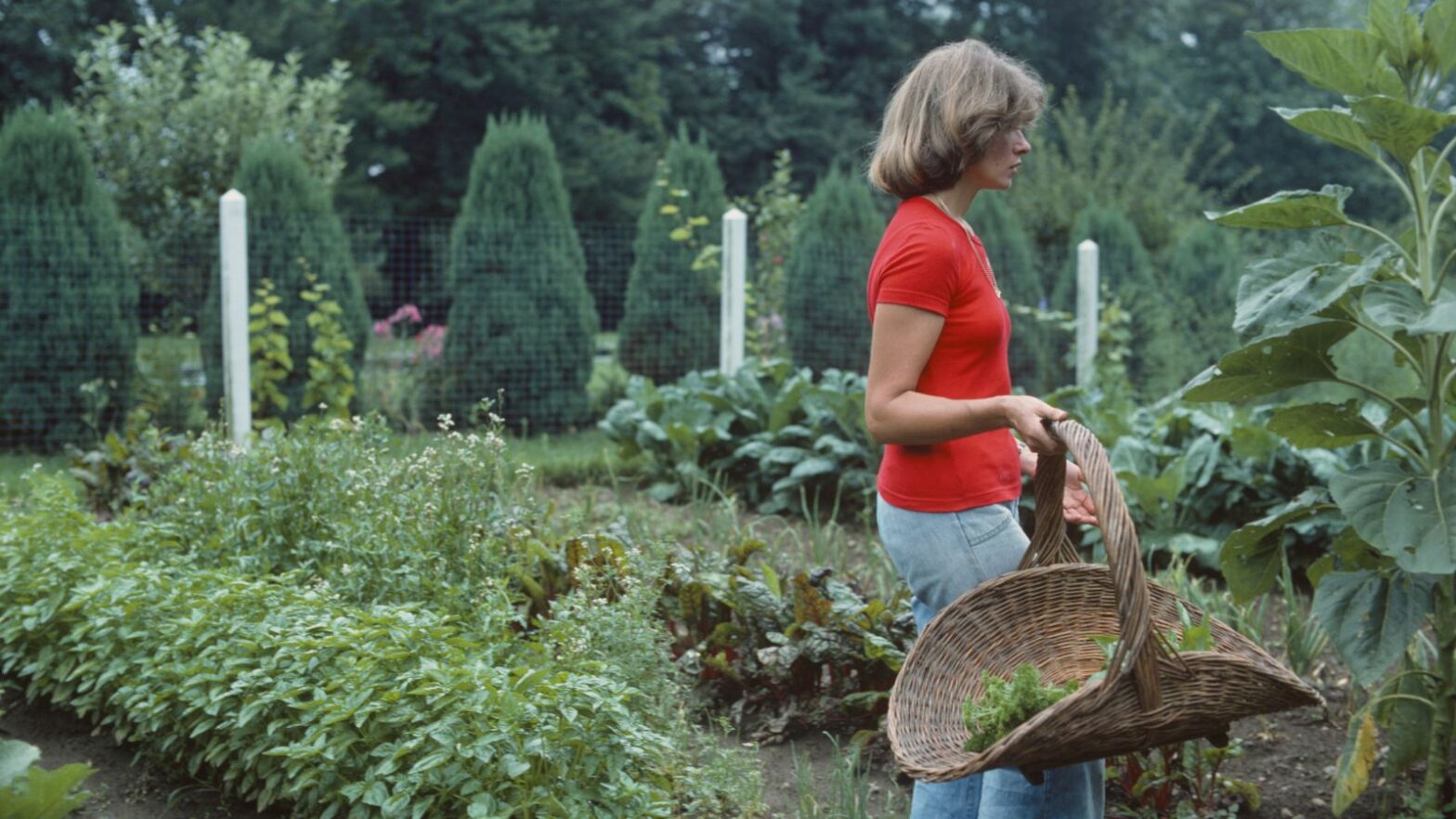 Martha Stewart explains how Monet inspired her garden