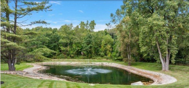 Pond on the property