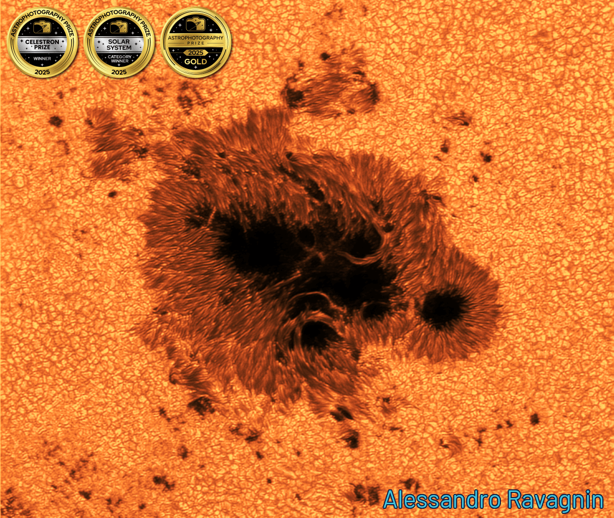 A close -up of a sun gap