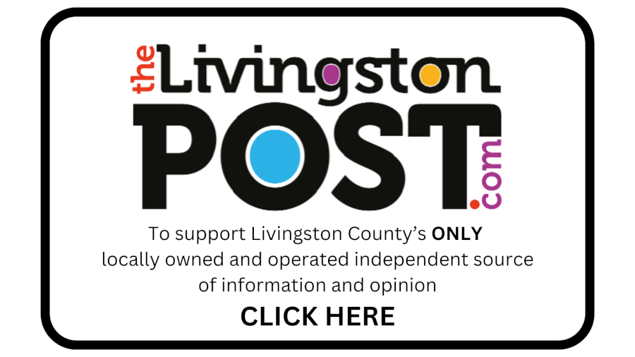 Planners give thumbs to the exterior plan of Cromaine Library - The Livingston Post.com