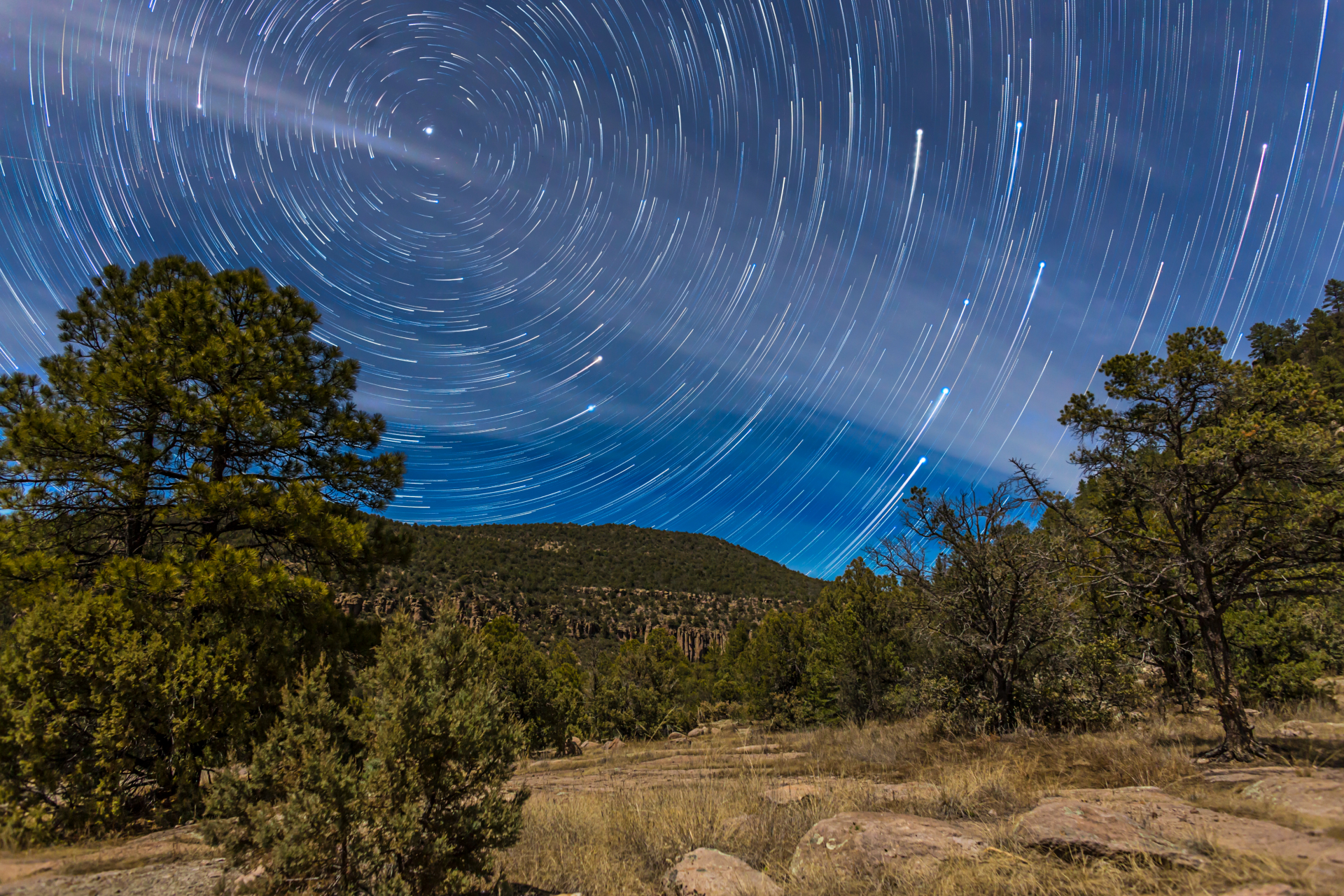 Star paths can be seen how they circle the Nordstern Polaris in the night sky over a country scene with trees in the foreground.