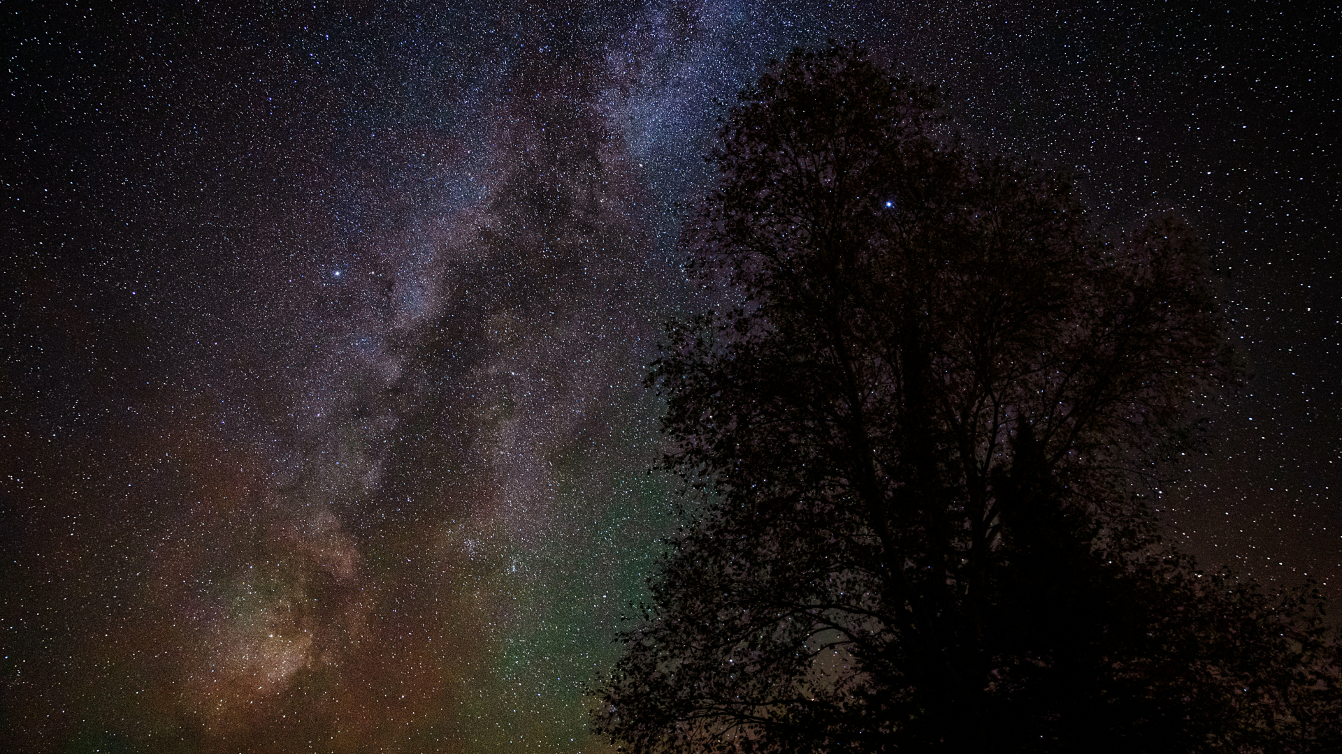 The shining band of the Milky Way is visible through a starry sky to the horizon with a tree in the foreground.
