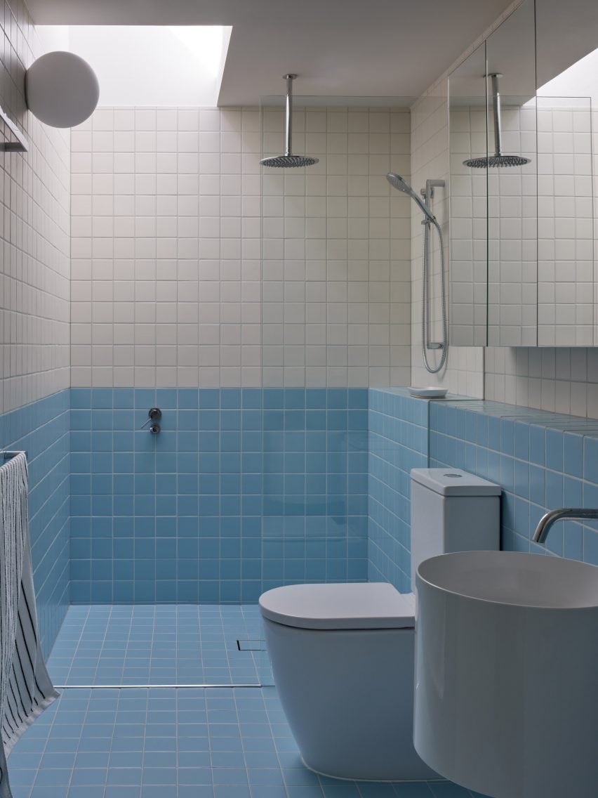 Bathroom lit by skylight