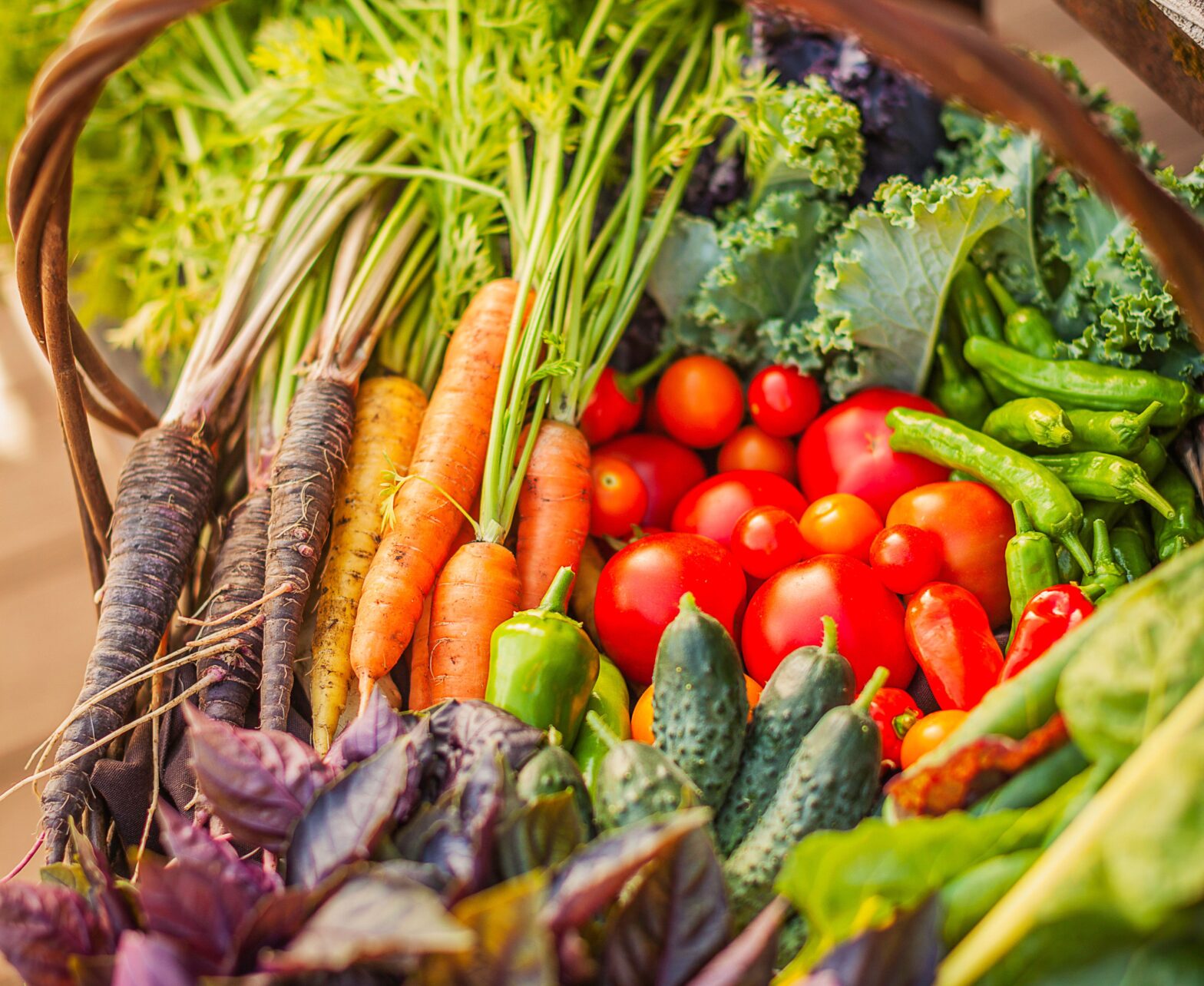 8 Best vegetables to save seeds - and how to collect them next year to grow them