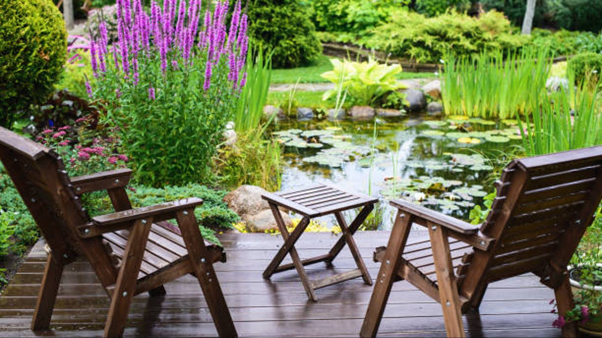 Add your landscape drama with Joe Pye Wehrraut