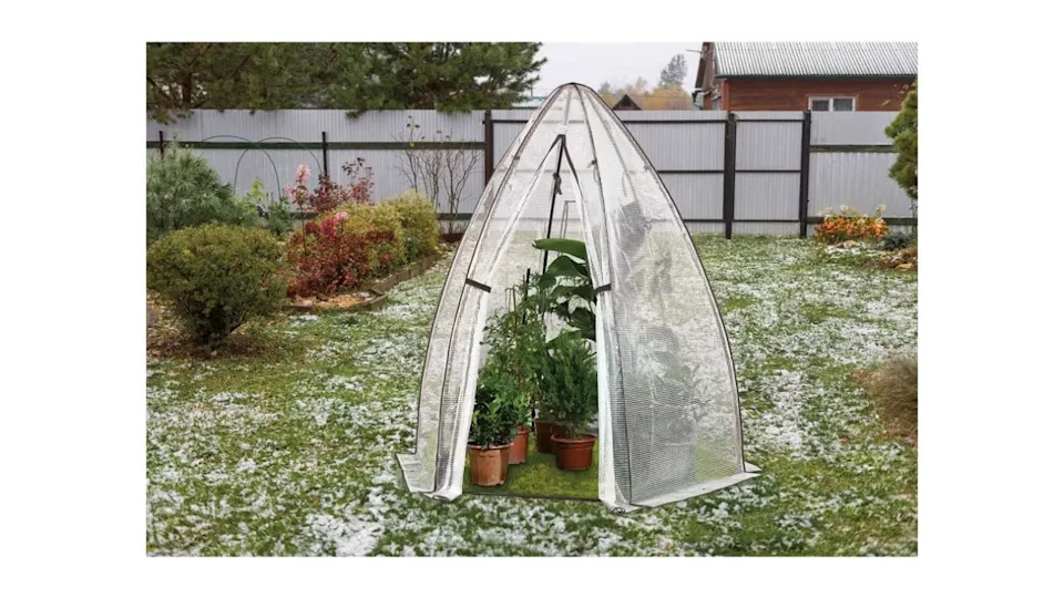Aldi has just dropped a greenhouse that is perfect for protecting your garden this winter