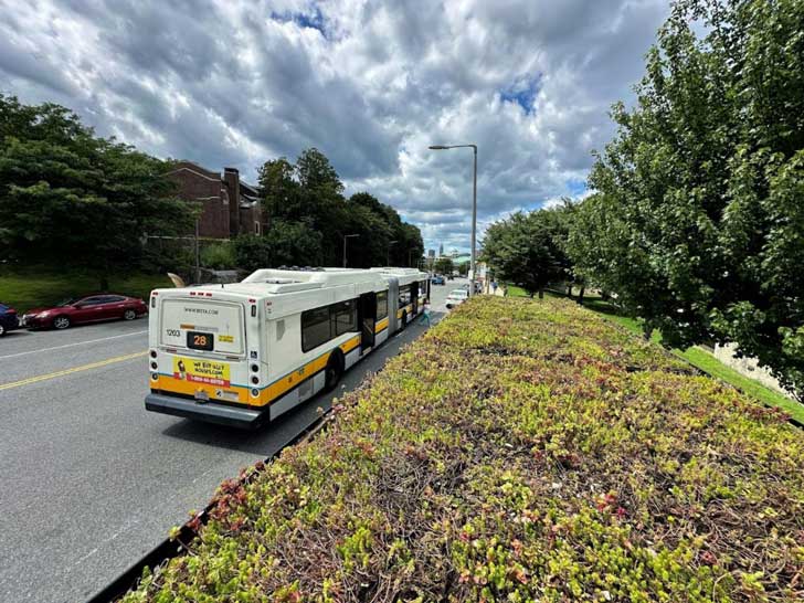 Next to a bus is a protection with a green roof full of local plants