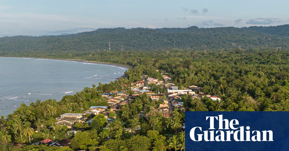 "Food forests are everything": Creation of edible landscapes helps nature in Afro-detail countries | America
