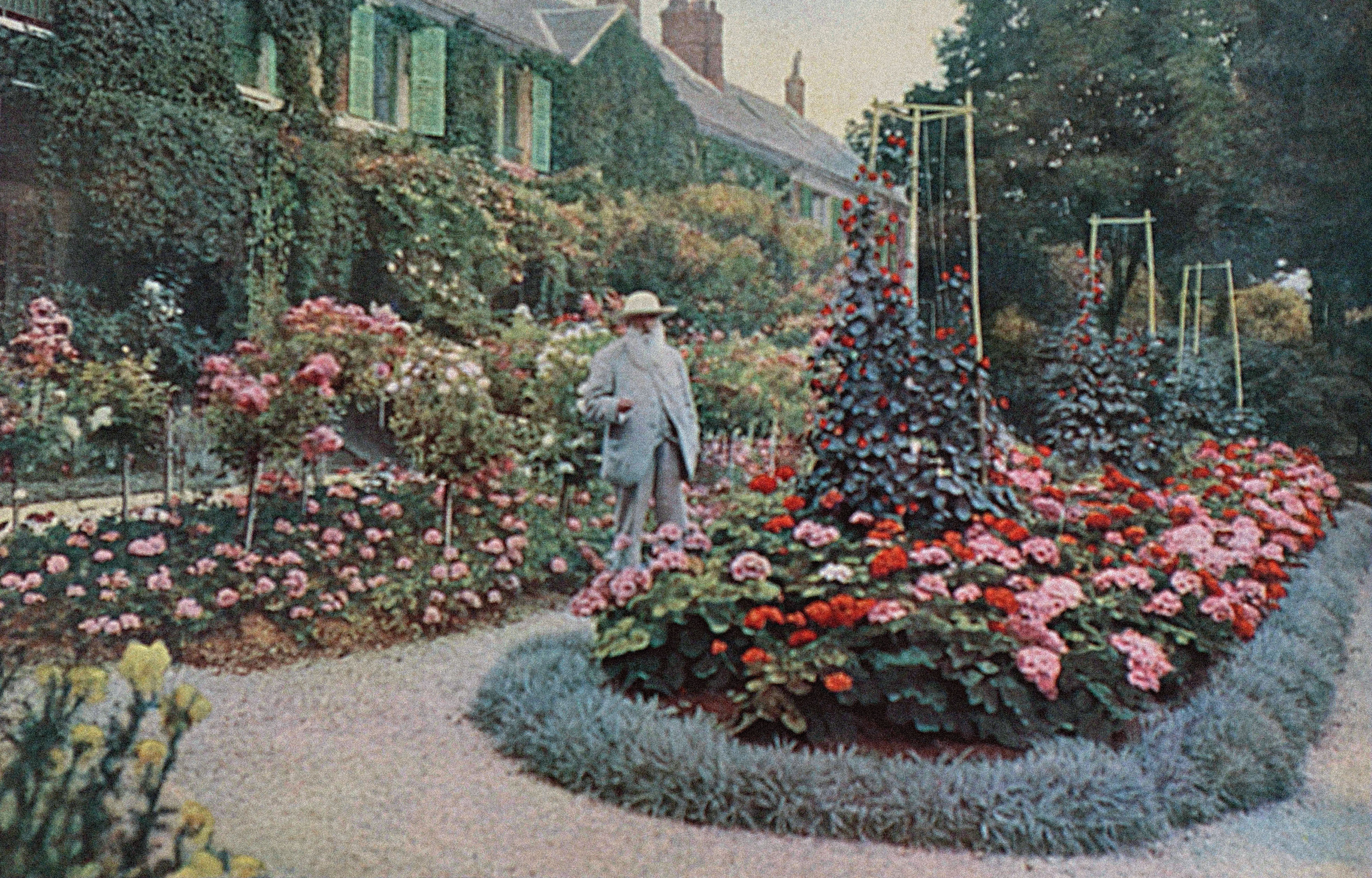 Claude money in his garden