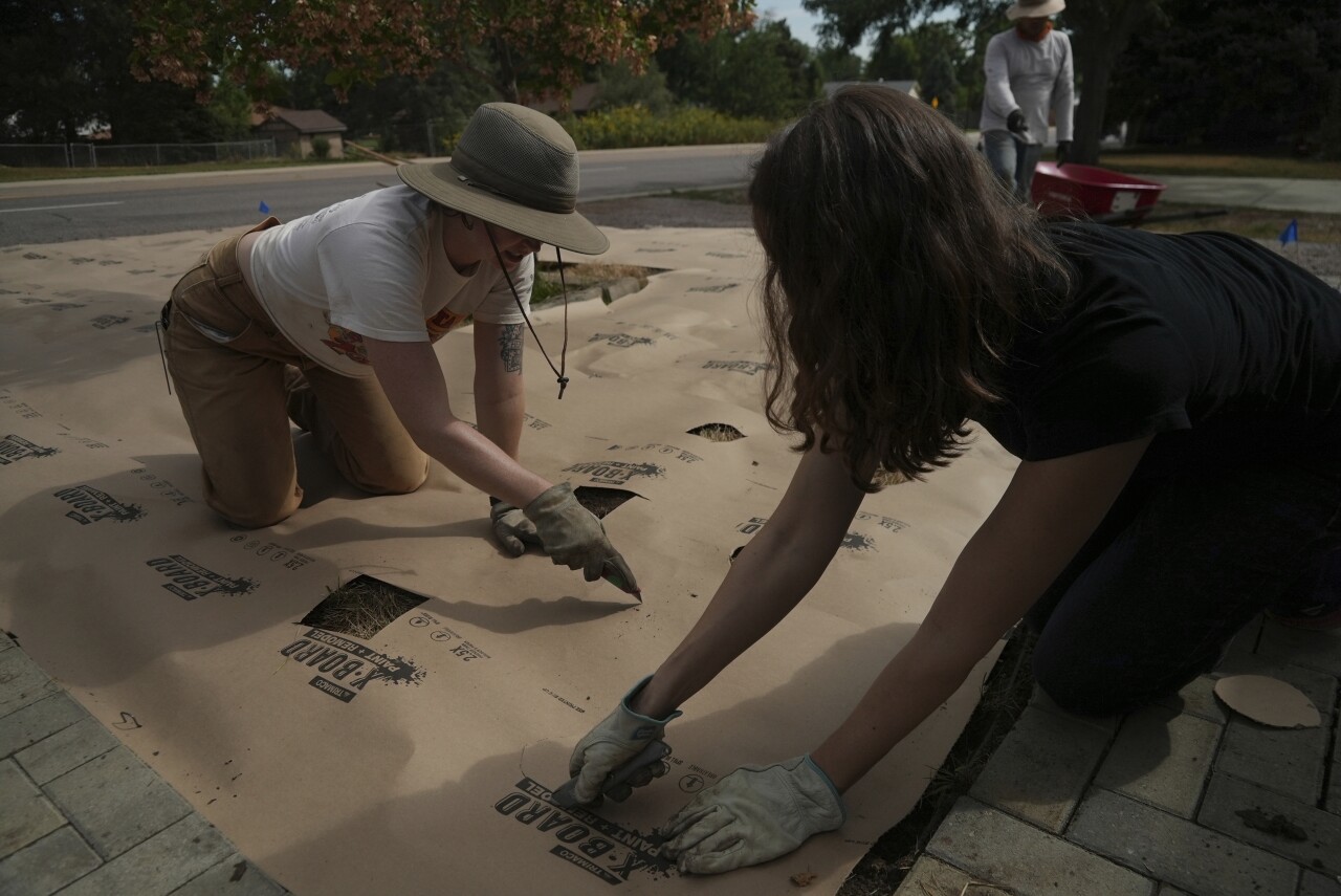 Climate decisions lawn water savings