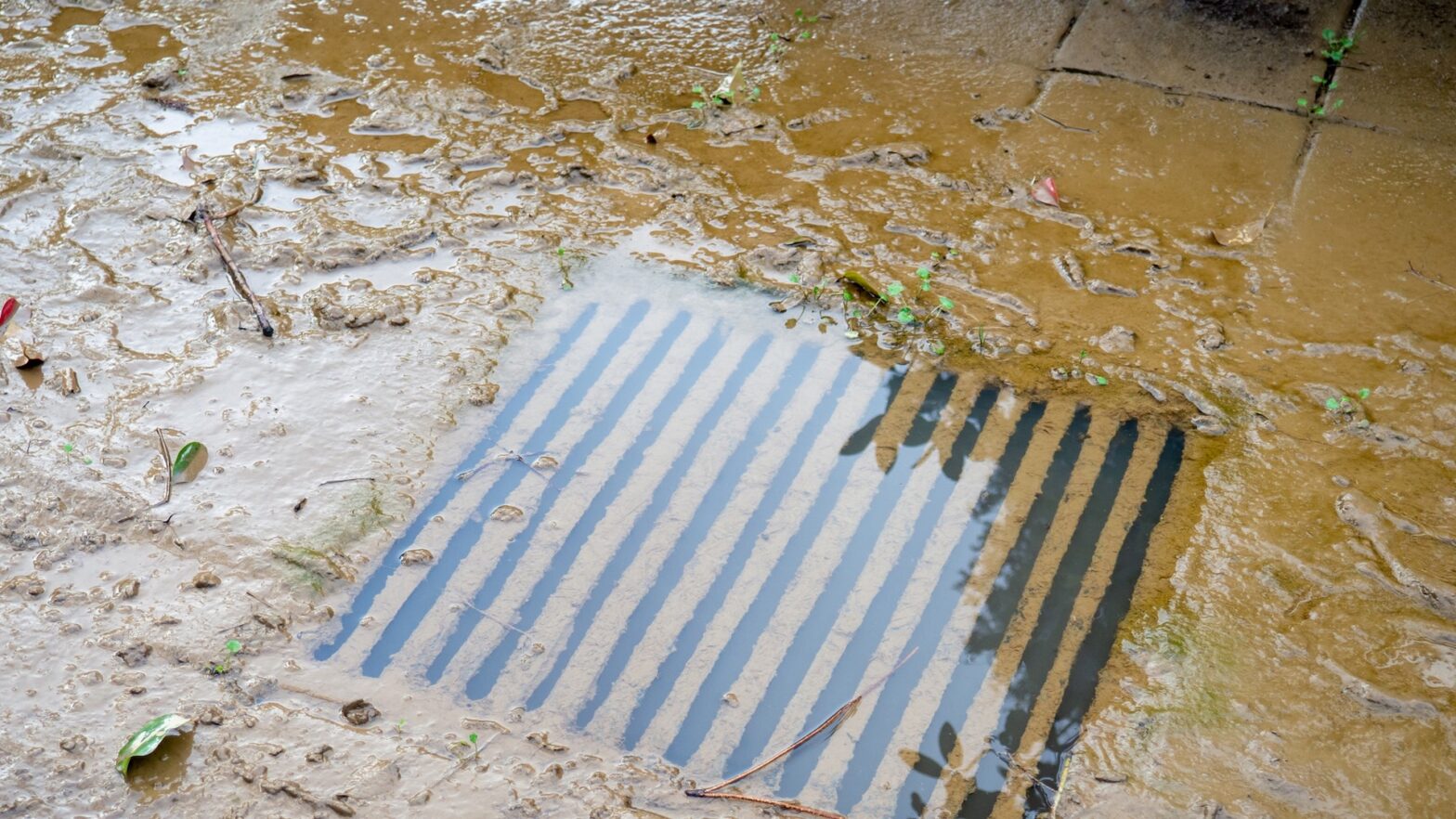 Officials reveal the annoying truth about what is in water when streets flood during the storms: "It happens often"
