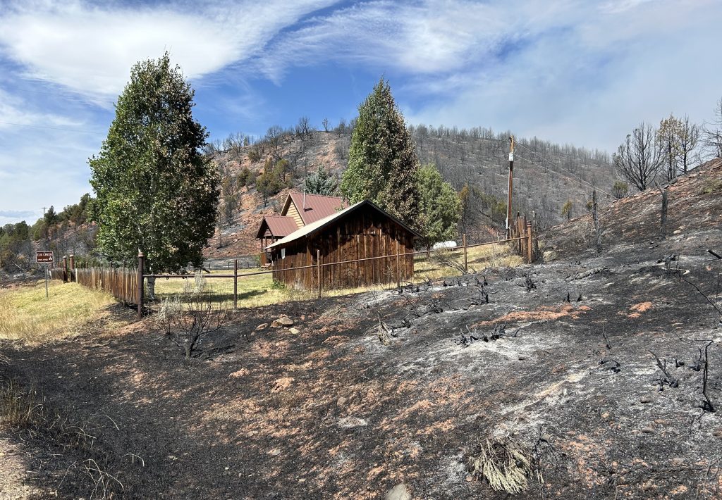 Recovery of the landscape after fires from Rio Blanco County could take 1-5 years