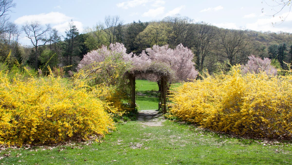 Skylands celebrates for 40 years as a botanical garden of the state of NJ State