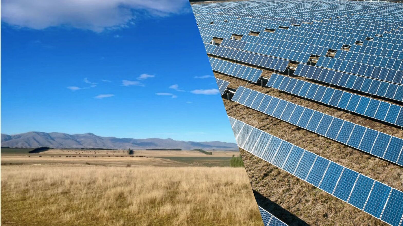 Solar arm gets the green light for maniototo plains