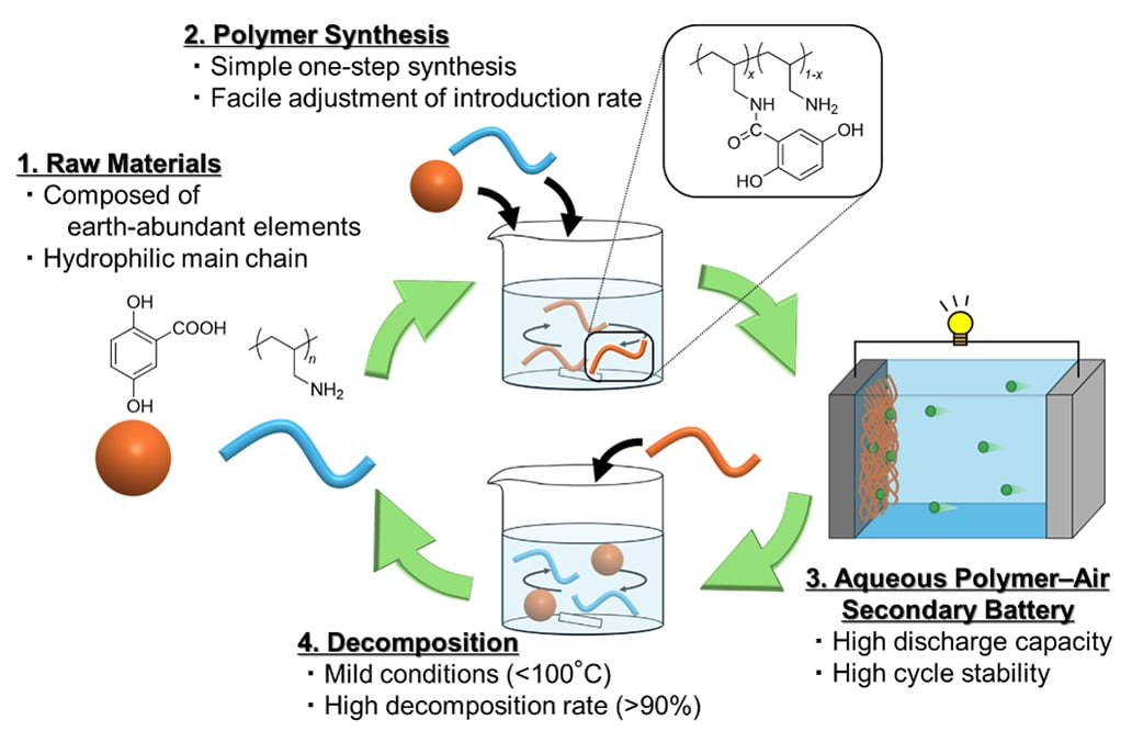 The new organic polymer paves the way for recyclable water -based batteries